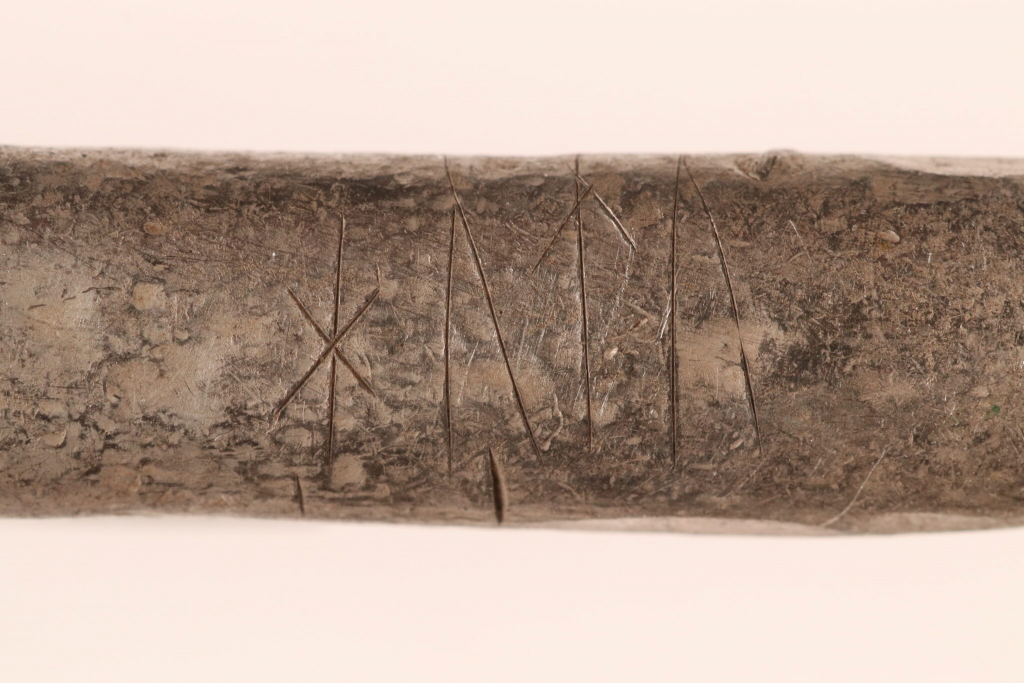 Vikingesoelvskat-Rebild-2026-8-2048x1365.jpg